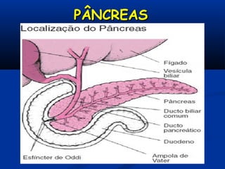 PÂNCREASPÂNCREAS
 