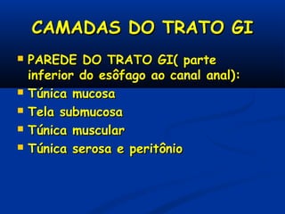 CAMADAS DO TRATO GICAMADAS DO TRATO GI
 PAREDE DO TRATO GI( partePAREDE DO TRATO GI( parte
inferior do esôfago ao canal anal):inferior do esôfago ao canal anal):
 Túnica mucosaTúnica mucosa
 Tela submucosaTela submucosa
 Túnica muscularTúnica muscular
 Túnica serosa e peritônioTúnica serosa e peritônio
 