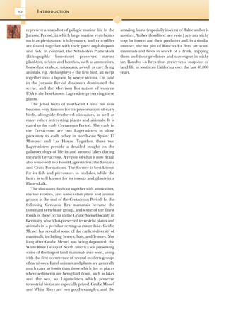 Evolution Of Fossil Ecosystems Paul Selden John Nudds | PDF
