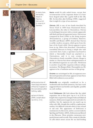 Evolution Of Fossil Ecosystems Paul Selden John Nudds | PDF
