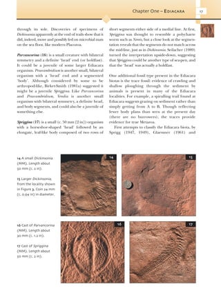 Evolution Of Fossil Ecosystems Paul Selden John Nudds | PDF