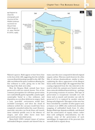Evolution Of Fossil Ecosystems Paul Selden John Nudds | PDF