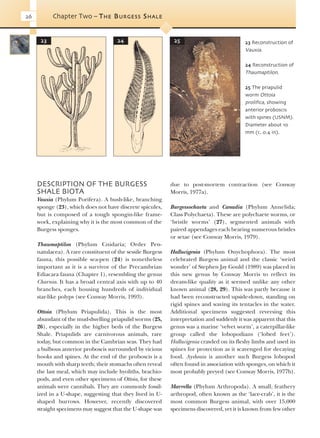 Evolution Of Fossil Ecosystems Paul Selden John Nudds | PDF