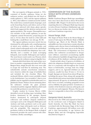 Evolution Of Fossil Ecosystems Paul Selden John Nudds | PDF