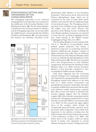Evolution Of Fossil Ecosystems Paul Selden John Nudds | PDF