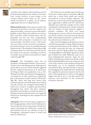 Evolution Of Fossil Ecosystems Paul Selden John Nudds | PDF