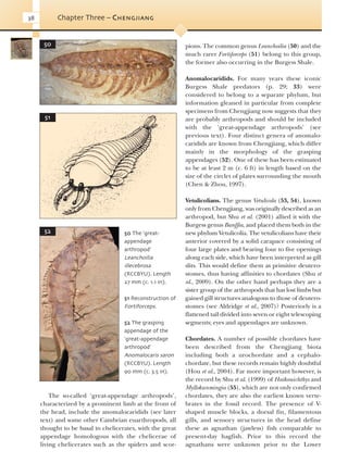 Evolution Of Fossil Ecosystems Paul Selden John Nudds | PDF