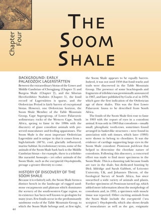 Evolution Of Fossil Ecosystems Paul Selden John Nudds | PDF