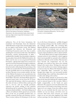 Evolution Of Fossil Ecosystems Paul Selden John Nudds | PDF