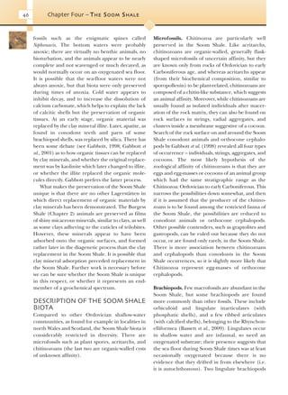 Evolution Of Fossil Ecosystems Paul Selden John Nudds | PDF