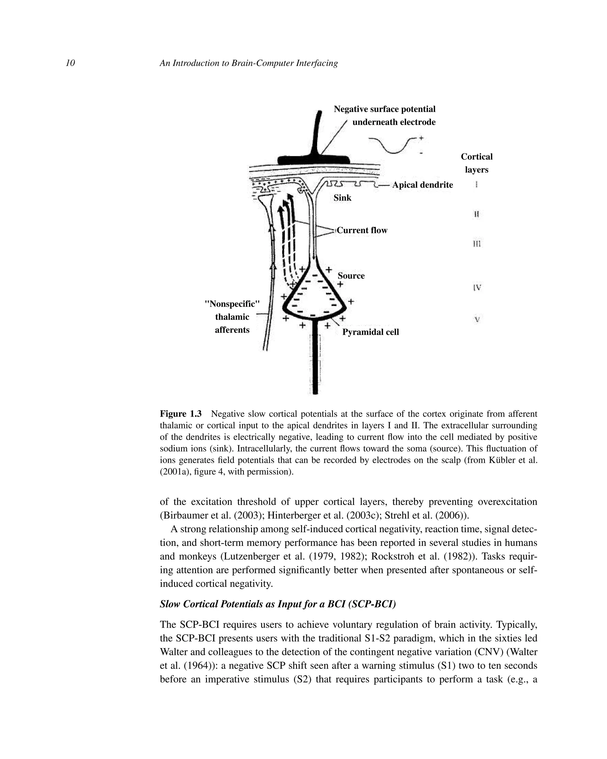 10 An Introduction to Brain-Computer Interfacing
Negative surface potential
underneath electrode
Cortical
layers
Nonspecific
thalamic
afferents
Apical dendrite
Sink
Current flow
Source
Pyramidal cell
Figure 1.3 Negative slow cortical potentials at the surface of the cortex originate from afferent
thalamic or cortical input to the apical dendrites in layers I and II. The extracellular surrounding
of the dendrites is electrically negative, leading to current ﬂow into the cell mediated by positive
sodium ions (sink). Intracellularly, the current ﬂows toward the soma (source). This ﬂuctuation of
ions generates ﬁeld potentials that can be recorded by electrodes on the scalp (from Kübler et al.
(2001a), ﬁgure 4, with permission).
of the excitation threshold of upper cortical layers, thereby preventing overexcitation
(Birbaumer et al. (2003); Hinterberger et al. (2003c); Strehl et al. (2006)).
A strong relationship among self-induced cortical negativity, reaction time, signal detec-
tion, and short-term memory performance has been reported in several studies in humans
and monkeys (Lutzenberger et al. (1979, 1982); Rockstroh et al. (1982)). Tasks requir-
ing attention are performed signiﬁcantly better when presented after spontaneous or self-
induced cortical negativity.
Slow Cortical Potentials as Input for a BCI (SCP-BCI)
The SCP-BCI requires users to achieve voluntary regulation of brain activity. Typically,
the SCP-BCI presents users with the traditional S1-S2 paradigm, which in the sixties led
Walter and colleagues to the detection of the contingent negative variation (CNV) (Walter
et al. (1964)): a negative SCP shift seen after a warning stimulus (S1) two to ten seconds
before an imperative stimulus (S2) that requires participants to perform a task (e.g., a
 