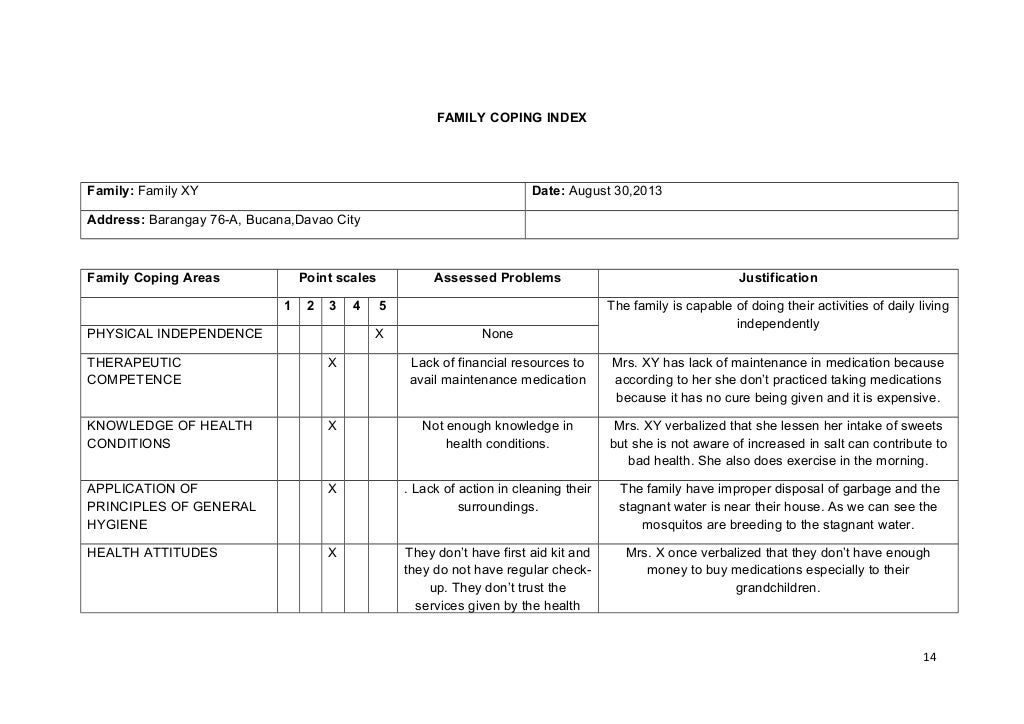 207528705 familycasestudy1