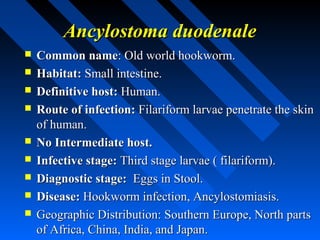 Ancylostoma duodenale
   Common name: Old world hookworm.
   Habitat: Small intestine.
   Definitive host: Human.
   Route of infection: Filariform larvae penetrate the skin
    of human.
   No Intermediate host.
   Infective stage: Third stage larvae ( filariform).
   Diagnostic stage: Eggs in Stool.
   Disease: Hookworm infection, Ancylostomiasis.
   Geographic Distribution: Southern Europe, North parts
    of Africa, China, India, and Japan.
 