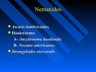 Nematodes

 Ascaris lumbricoides.
 Hookworms:

   A- Ancylostoma duodenale.
   B- Necator americanus.
 Strongyloides stercoralis
 