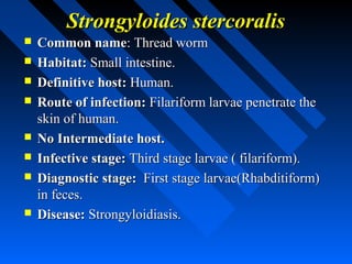 Strongyloides stercoralis
   Common name: Thread worm
   Habitat: Small intestine.
   Definitive host: Human.
   Route of infection: Filariform larvae penetrate the
    skin of human.
   No Intermediate host.
   Infective stage: Third stage larvae ( filariform).
   Diagnostic stage: First stage larvae(Rhabditiform)
    in feces.
   Disease: Strongyloidiasis.
 
