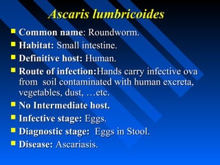 Ascaris lumbricoides
 Common name: Roundworm.
 Habitat: Small intestine.
 Definitive host: Human.
 Route of infection:Hands carry infective ova
  from soil contaminated with human excreta,
  vegetables, dust, …etc.
 No Intermediate host.
 Infective stage: Eggs.
 Diagnostic stage: Eggs in Stool.
 Disease: Ascariasis.
 