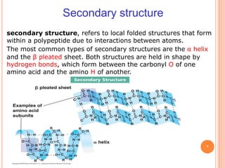 protein structure and function for basics .pdf