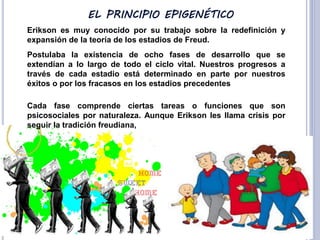 Erikson es muy conocido por su trabajo sobre la redefinición y
expansión de la teoría de los estadios de Freud.
Postulaba la existencia de ocho fases de desarrollo que se
extendían a lo largo de todo el ciclo vital. Nuestros progresos a
través de cada estadio está determinado en parte por nuestros
éxitos o por los fracasos en los estadios precedentes
Cada fase comprende ciertas tareas o funciones que son
psicosociales por naturaleza. Aunque Erikson les llama crisis por
seguir la tradición freudiana,

 
