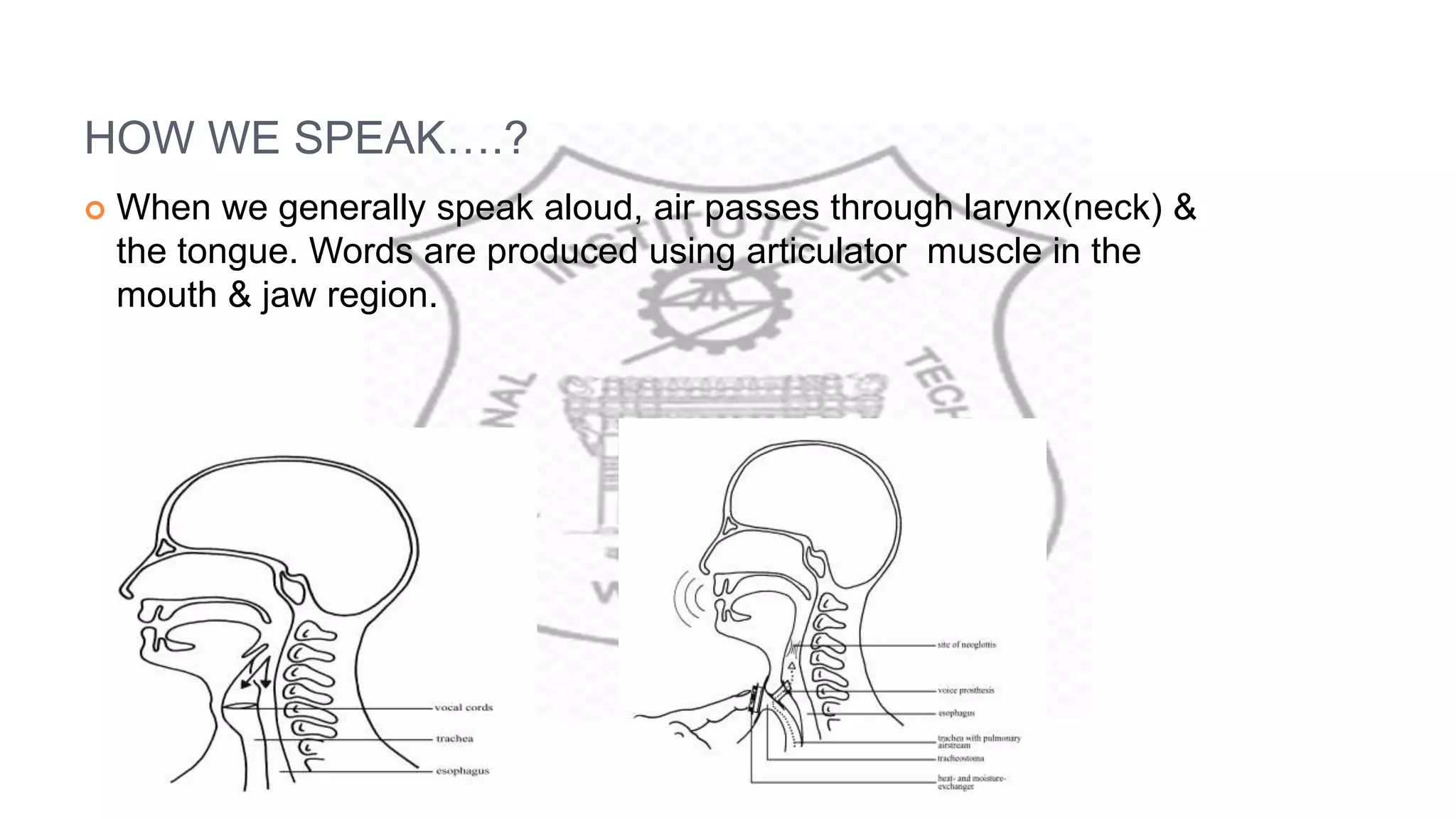 HOW WE SPEAK….?
 When we generally speak aloud, air passes through larynx(neck) &
the tongue. Words are produced using articulator muscle in the
mouth & jaw region.
 