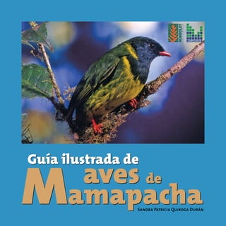 Mamapacha
aves de
Guía ilustrada de
Sandra Patricia Quiroga Durán
Mamapacha
aves de
Guía ilustrada de
 