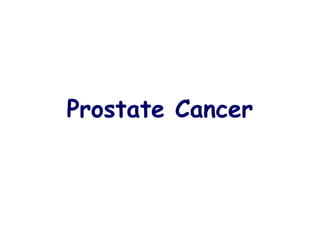 Prostate Cancer
 