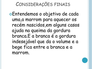 CONSIDERAÇÕES FINAIS
Entendemos o objetivo de cada
uma,a marrom para aquecer os
recém nascidos,em alguns casos
ajuda na queima da gordura
branca.E a branca é a gordura
indesejável que da o volume e a
bege fica entre a branca e a
marrom.
 