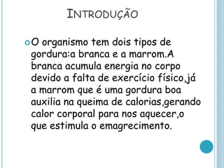 INTRODUÇÃO
O organismo tem dois tipos de
gordura:a branca e a marrom.A
branca acumula energia no corpo
devido a falta de exercício físico,já
a marrom que é uma gordura boa
auxilia na queima de calorias,gerando
calor corporal para nos aquecer,o
que estimula o emagrecimento.
 