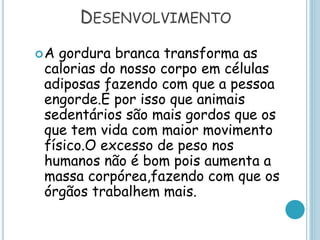 DESENVOLVIMENTO
A gordura branca transforma as
calorias do nosso corpo em células
adiposas fazendo com que a pessoa
engorde.É por isso que animais
sedentários são mais gordos que os
que tem vida com maior movimento
físico.O excesso de peso nos
humanos não é bom pois aumenta a
massa corpórea,fazendo com que os
órgãos trabalhem mais.
 