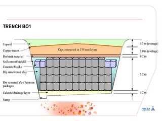Trends in disposal and disposal DESIGN concepts FOR LLW | PDF