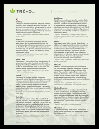 © TRÉVO llc 02/2010
C
Cabbage
Cabbage, a cruciferous vegetable, is a potent source of
vitamin C, fiber, potassium, and other nutrients. The
phytonutrient compounds in cabbage signal the body’s
genes to increase production of enzymes involved in
detoxification, the cleansing process through which our
bodies eliminate harmful compounds.
*Supports cellular health, digestive and gastrointestinal
system health
Calcium
A lack of this vital mineral means more than just
weak bones. Key organs and bodily functions, like
your heart and metabolism, require calcium to operate
at their best. Yet, according to federal government
statistics, only 21% of us are getting the recommended
amount of calcium. Calcium also helps with weight
management efforts.
*Supports heart health, joint and bone health, weight
management, women’s health
Camu Camu
Camu camu, a fruit native to Peru, is a rich source of
potassium, amino acids, vitamin C, and flavonoids.
Its properties offer powerful immune system support
as well as increased energy levels. Camu camu also
contains several potent antioxidant compounds.
*Supports cellular health, heart health, immune system
health, mental focus/energy
Carrot
Carrots are an excellent source of antioxidant
compounds and are the richest vegetable source of pro-
vitamin A carotenes. Carrots' antioxidant compounds
support cardiovascular and autoimmune system
health. Their nutritional properties also support
good eye health, especially night vision. Carrots offer
outstanding benefits in the form of supporting healthy
blood sugar levels.
*Supports blood sugar health, cellular health, eye health,
heart health
Cat’s Claw
Cat’s claw is a natural extract of the inner bark of
Uncaria tomentosa, an exciting herbal discovery from
the Peruvian Rainforest. Also called Una de Gato, the
cat's claw herb has been used for hundreds of years
by the native Ashanica Indians. Cat's claw has long
been used to support the immune system and promote
kidney health. It also appears to be beneficial in the
maintenance of joint health and may offer analgesic
properties.
*Supports digestive and gastrointestinal system health,
immune system health, joint and bone health
Cauliflower
Cauliflower, a cruciferous vegetable, contains allicin,
which provides powerful heart health support, and
selenium, a chemical that works well with vitamin C
to strengthen the immune system. Cauliflower can
also help to maintain healthy cholesterol levels. The B
vitamin folic acid, which is needed for cell growth and
replication, is also found in cauliflower. Cauliflower is
a rich source of fiber.
*Supports cellular health, cholesterol health, digestive
and gastrointestinal system health, heart health, immune
system health
Cherry
Cherries are one of today's hottest "Super Fruits." In
addition to being packed with powerful antioxidants,
cherries also contain other important nutrients such
as beta carotene (19 times more than blueberries
or strawberries), vitamin C, potassium, and fiber.
Cherries appear to be of benefit in the reduction of
inflammation, as well as the support of cardiovascular
and bone health. They even help support the
maintenance of healthy blood sugar levels.
*Supports blood sugar health, cellular health, heart health,
joint and bone health
Chlorella
Chlorella, a single-celled algae, gets its name from
the high amount of chlorophyl it possesses. Chlorella
contains more chlorophyl per gram than any other
plant. Chlorophyl is a highly effective nutrient that
naturally cleanses the bowel and other elimination
systems such as the liver and the blood. Chlorella’s
properties also support enhanced immune system
health, and even helps balance the body’s pH and blood
sugar levels.
*Supports blood sugar health, digestive and
gastrointestinal system health, immune system health
Choline Bitartrate
Choline bitartrate is an essential nutrient involved
in many body functions, including brain function,
memory, and heart health. Choline has also been
shown to be essential for proper brain development in
infants and children. Supplementation of animal diets
with choline at particular times of brain development
has been shown to permanently increase cognitive
function.
*Supports heart health, mental focus/energy
Chromium
A naturally occurring, plant-derived trace mineral. It
aids in glucose metabolism and helps support healthy
blood sugar levels.
*Supports blood sugar health, weight management
INGREDIENT GLOSSARY
 