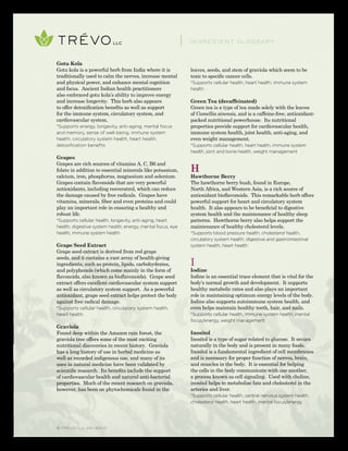 © TRÉVO llc 02/2010
Gotu Kola
Gotu kola is a powerful herb from India where it is
traditionally used to calm the nerves, increase mental
and physical power, and enhance mental cognition
and focus. Ancient Indian health practitioners
also embraced gotu kola’s ability to improve energy
and increase longevity. This herb also appears
to offer detoxification benefits as well as support
for the immune system, circulatory system, and
cardiovascular system.
*Supports energy, longevity, anti-aging, mental focus
and memory, sense of well-being, immune system
health, circulatory system health, heart health,
detoxification benefits
Grapes
Grapes are rich sources of vitamins A, C, B6 and
folate in addition to essential minerals like potassium,
calcium, iron, phosphorus, magnesium and selenium.
Grapes contain flavonoids that are very powerful
antioxidants, including resveratrol, which can reduce
the damage caused by free radicals. Grapes have
vitamins, minerals, fiber and even proteins and could
play an important role in ensuring a healthy and
robust life.
*Supports cellular health, longevity, anti-aging, heart
health, digestive system health, energy, mental focus, eye
health, immune system health
Grape Seed Extract
Grape seed extract is derived from red grape
seeds, and it contains a vast array of health-giving
ingredients, such as protein, lipids, carbohydrates,
and polyphenols (which come mainly in the form of
flavonoids, also known as bioflavonoids). Grape seed
extract offers excellent cardiovascular system support
as well as circulatory system support. As a powerful
antioxidant, grape seed extract helps protect the body
against free radical damage.
*Supports cellular health, circulatory system health,
heart health
Graviola
Found deep within the Amazon rain forest, the
graviola tree offers some of the most exciting
nutritional discoveries in recent history. Graviola
has a long history of use in herbal medicine as
well as recorded indigenous use, and many of its
uses in natural medicine have been validated by
scientific research. Its benefits include the support
of cardiovascular health and natural anti-bacterial
properties. Much of the recent research on graviola,
however, has been on phytochemicals found in the
leaves, seeds, and stem of graviola which seem to be
toxic to specific cancer cells.
*Supports cellular health, heart health, immune system
health
Green Tea (decaffeinated)
Green tea is a type of tea made solely with the leaves
of Camellia sinensis, and is a caffeine-free, antioxidant-
packed nutritional powerhouse. Its nutritional
properties provide support for cardiovascular health,
immune system health, joint health, anti-aging, and
even weight management.
*Supports cellular health, heart health, immune system
health, joint and bone health, weight management
H
Hawthorne Berry
The hawthorne berry bush, found in Europe,
North Africa, and Western Asia, is a rich source of
antioxidant bioflavonoids. This remarkable herb offers
powerful support for heart and circulatory system
health. It also appears to be beneficial to digestive
system health and the maintenance of healthy sleep
patterns. Hawthorne berry also helps support the
maintenance of healthy cholesterol levels.
*Supports blood pressure health, cholesterol health,
circulatory system health, digestive and gastrointestinal
system health, heart health
I
Iodine
Iodine is an essential trace element that is vital for the
body’s normal growth and development. It supports
healthy metabolic rates and also plays an important
role in maintaining optimum energy levels of the body.
Iodine also supports autoimmune system health, and
even helps maintain healthy teeth, hair, and nails.
*Supports cellular health, immune system health, mental
focus/energy, weight management
Inositol
Inositol is a type of sugar related to glucose. It occurs
naturally in the body and is present in many foods.
Inositol is a fundamental ingredient of cell membranes
and is necessary for proper function of nerves, brain,
and muscles in the body. It is essential for helping
the cells in the body communicate with one another,
a process known as cell signaling. Used with choline,
inositol helps to metabolize fats and cholesterol in the
arteries and liver.
*Supports cellular health, central nervous system health,
cholesterol health, heart health, mental focus/energy
INGREDIENT GLOSSARY
 
