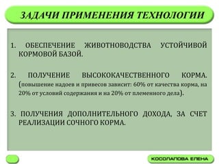 ЗАДАЧИ ПРИМЕНЕНИЯ ТЕХНОЛОГИИ


1.    ОБЕСПЕЧЕНИЕ ЖИВОТНОВОДСТВА                    УСТОЙЧИВОЙ
     КОРМОВОЙ БАЗОЙ.

2.      ПОЛУЧЕНИЕ         ВЫСОКОКАЧЕСТВЕННОГО              КОРМА.
     (повышение надоев и привесов зависит: 60% от качества корма, на
     20% от условий содержания и на 20% от племенного дела).


3. ПОЛУЧЕНИЯ ДОПОЛНИТЕЛЬНОГО ДОХОДА, ЗА СЧЕТ
   РЕАЛИЗАЦИИ СОЧНОГО КОРМА.
 