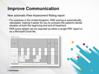 Par Interpretive Report.pdf Introducing CS Model+ v4 | PDF