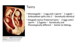 Twins
• Monozygotic 1 egg and 1 sperm 1 zygote
Embryoblast splits into 2 Genetically identical
• Dizygotic twins/ Fraternal twins 2 eggs and 2
sperm 2 Zygotes Genetically and
Phenotypically different Similar to Siblings.
 