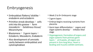 Embryogenesis
• Embryoblast flattens/ disklike
endoderm and ectoderm
• Primitive streak develops cells
sink into this groove form
mesoderm Gelatinous tissue/
Mesenchyme
• Blastomere 3 germ layers
Ectoderm, Mesoderm, Endoderm
• Also development of amniotic
cavity between embryoblast and
cytotrophoblast
• Week 2 to 9= Embryonic stage
• 3 germ layers
• Embryo begins receiving nutrients from
placenta
• Germ layer differentiation organs and
organ systems develop initiates fetal
stage
• Organogenesis: Formation of organs and
organ systems from primary germ
layers at 8 weeks, all organs are
present in 3cm long fetus. Heart is
beating and muscles exhibit contracts.
 