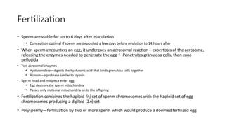 Fertilization
• Sperm are viable for up to 6 days after ejaculation
• Conception optimal if sperm are deposited a few days before ovulation to 14 hours after
• When sperm encounters an egg, it undergoes an acrosomal reaction—exocytosis of the acrosome,
releasing the enzymes needed to penetrate the egg Penetrates granulosa cells, then zona
pellucida
• Two acrosomal enzymes
• Hyaluronidase—digests the hyaluronic acid that binds granulosa cells together
• Acrosin—a protease similar to trypsin
• Sperm head and midpiece enter egg
• Egg destroys the sperm mitochondria
• Passes only maternal mitochondria on to the offspring
• Fertilization combines the haploid (n) set of sperm chromosomes with the haploid set of egg
chromosomes producing a diploid (2n) set
• Polyspermy—fertilization by two or more sperm which would produce a doomed fertilized egg
 