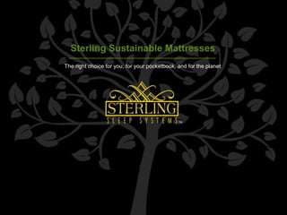 Sterling Sustainable Mattresses
The right choice for you, for your pocketbook, and for the planet
 
