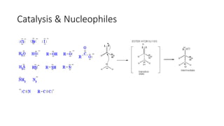 Comprehensive Overview of Enzyme Catalysis Mechanisms and Active Site ...