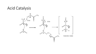 Comprehensive Overview of Enzyme Catalysis Mechanisms and Active Site ...
