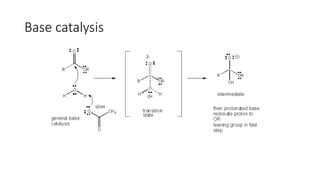 Comprehensive Overview of Enzyme Catalysis Mechanisms and Active Site ...