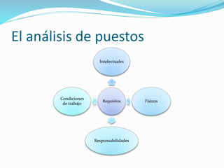 El análisis de puestos
Requisitos
Intelectuales
Físicos
Responsabilidades
Condiciones
de trabajo
 