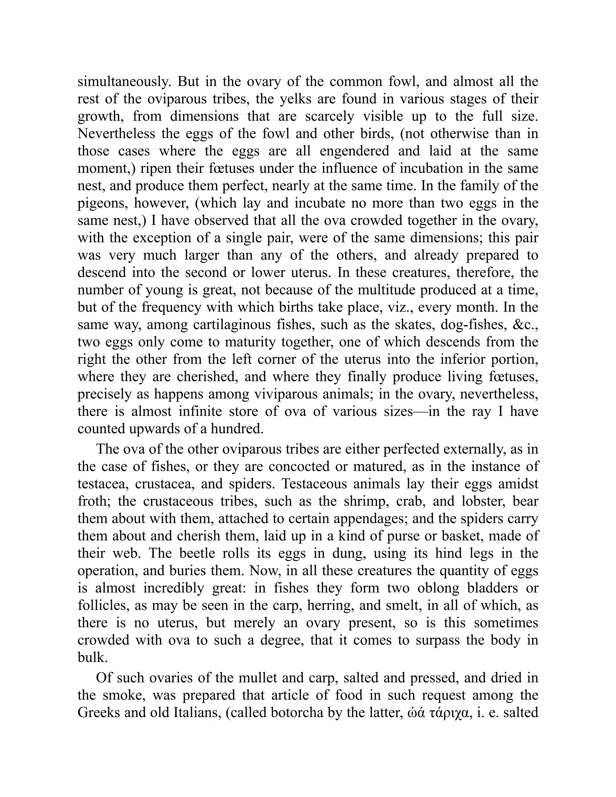 simultaneously. But in the ovary of the common fowl, and almost all the
rest of the oviparous tribes, the yelks are found in various stages of their
growth, from dimensions that are scarcely visible up to the full size.
Nevertheless the eggs of the fowl and other birds, (not otherwise than in
those cases where the eggs are all engendered and laid at the same
moment,) ripen their fœtuses under the influence of incubation in the same
nest, and produce them perfect, nearly at the same time. In the family of the
pigeons, however, (which lay and incubate no more than two eggs in the
same nest,) I have observed that all the ova crowded together in the ovary,
with the exception of a single pair, were of the same dimensions; this pair
was very much larger than any of the others, and already prepared to
descend into the second or lower uterus. In these creatures, therefore, the
number of young is great, not because of the multitude produced at a time,
but of the frequency with which births take place, viz., every month. In the
same way, among cartilaginous fishes, such as the skates, dog-fishes, &c.,
two eggs only come to maturity together, one of which descends from the
right the other from the left corner of the uterus into the inferior portion,
where they are cherished, and where they finally produce living fœtuses,
precisely as happens among viviparous animals; in the ovary, nevertheless,
there is almost infinite store of ova of various sizes—in the ray I have
counted upwards of a hundred.
The ova of the other oviparous tribes are either perfected externally, as in
the case of fishes, or they are concocted or matured, as in the instance of
testacea, crustacea, and spiders. Testaceous animals lay their eggs amidst
froth; the crustaceous tribes, such as the shrimp, crab, and lobster, bear
them about with them, attached to certain appendages; and the spiders carry
them about and cherish them, laid up in a kind of purse or basket, made of
their web. The beetle rolls its eggs in dung, using its hind legs in the
operation, and buries them. Now, in all these creatures the quantity of eggs
is almost incredibly great: in fishes they form two oblong bladders or
follicles, as may be seen in the carp, herring, and smelt, in all of which, as
there is no uterus, but merely an ovary present, so is this sometimes
crowded with ova to such a degree, that it comes to surpass the body in
bulk.
Of such ovaries of the mullet and carp, salted and pressed, and dried in
the smoke, was prepared that article of food in such request among the
Greeks and old Italians, (called botorcha by the latter, ώά τάριχα, i. e. salted
 