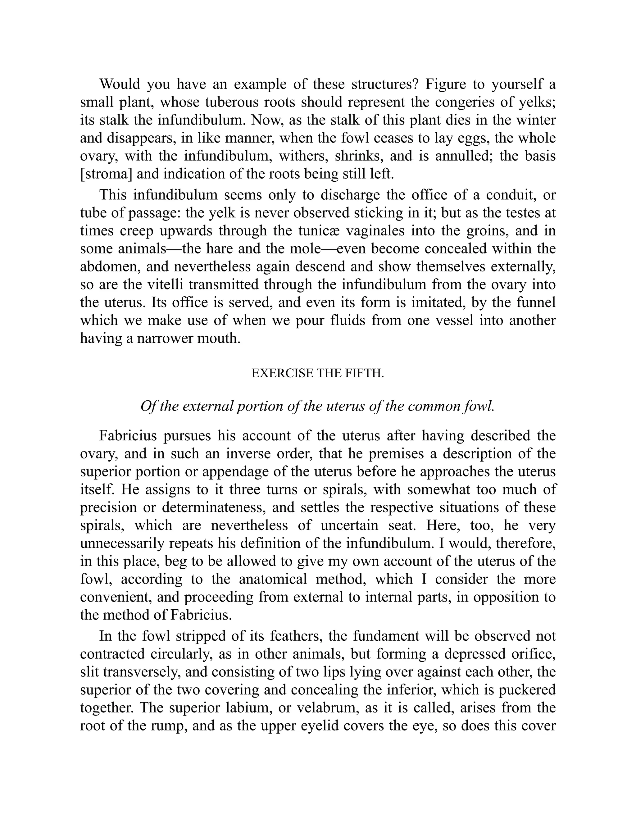 Would you have an example of these structures? Figure to yourself a
small plant, whose tuberous roots should represent the congeries of yelks;
its stalk the infundibulum. Now, as the stalk of this plant dies in the winter
and disappears, in like manner, when the fowl ceases to lay eggs, the whole
ovary, with the infundibulum, withers, shrinks, and is annulled; the basis
[stroma] and indication of the roots being still left.
This infundibulum seems only to discharge the office of a conduit, or
tube of passage: the yelk is never observed sticking in it; but as the testes at
times creep upwards through the tunicæ vaginales into the groins, and in
some animals—the hare and the mole—even become concealed within the
abdomen, and nevertheless again descend and show themselves externally,
so are the vitelli transmitted through the infundibulum from the ovary into
the uterus. Its office is served, and even its form is imitated, by the funnel
which we make use of when we pour fluids from one vessel into another
having a narrower mouth.
EXERCISE THE FIFTH.
Of the external portion of the uterus of the common fowl.
Fabricius pursues his account of the uterus after having described the
ovary, and in such an inverse order, that he premises a description of the
superior portion or appendage of the uterus before he approaches the uterus
itself. He assigns to it three turns or spirals, with somewhat too much of
precision or determinateness, and settles the respective situations of these
spirals, which are nevertheless of uncertain seat. Here, too, he very
unnecessarily repeats his definition of the infundibulum. I would, therefore,
in this place, beg to be allowed to give my own account of the uterus of the
fowl, according to the anatomical method, which I consider the more
convenient, and proceeding from external to internal parts, in opposition to
the method of Fabricius.
In the fowl stripped of its feathers, the fundament will be observed not
contracted circularly, as in other animals, but forming a depressed orifice,
slit transversely, and consisting of two lips lying over against each other, the
superior of the two covering and concealing the inferior, which is puckered
together. The superior labium, or velabrum, as it is called, arises from the
root of the rump, and as the upper eyelid covers the eye, so does this cover
 