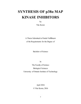 Vitakorenundergraduatethesis Final