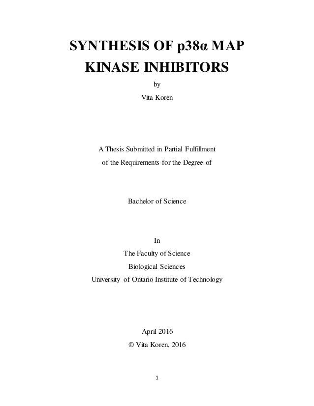 cvitae version 4.0.0 franaise