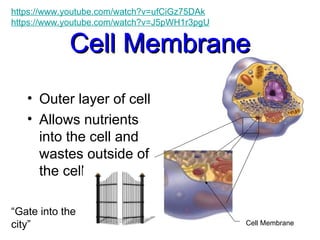 Cell Membrane
Cell Membrane
• Outer layer of cell
• Allows nutrients
into the cell and
wastes outside of
the cell
Cell Membrane
“Gate into the
city”
https://www.youtube.com/watch?v=ufCiGz75DAk
https://www.youtube.com/watch?v=J5pWH1r3pgU
 