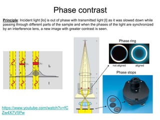 Interference Lens Microscopy and staining techniques details | PPT
