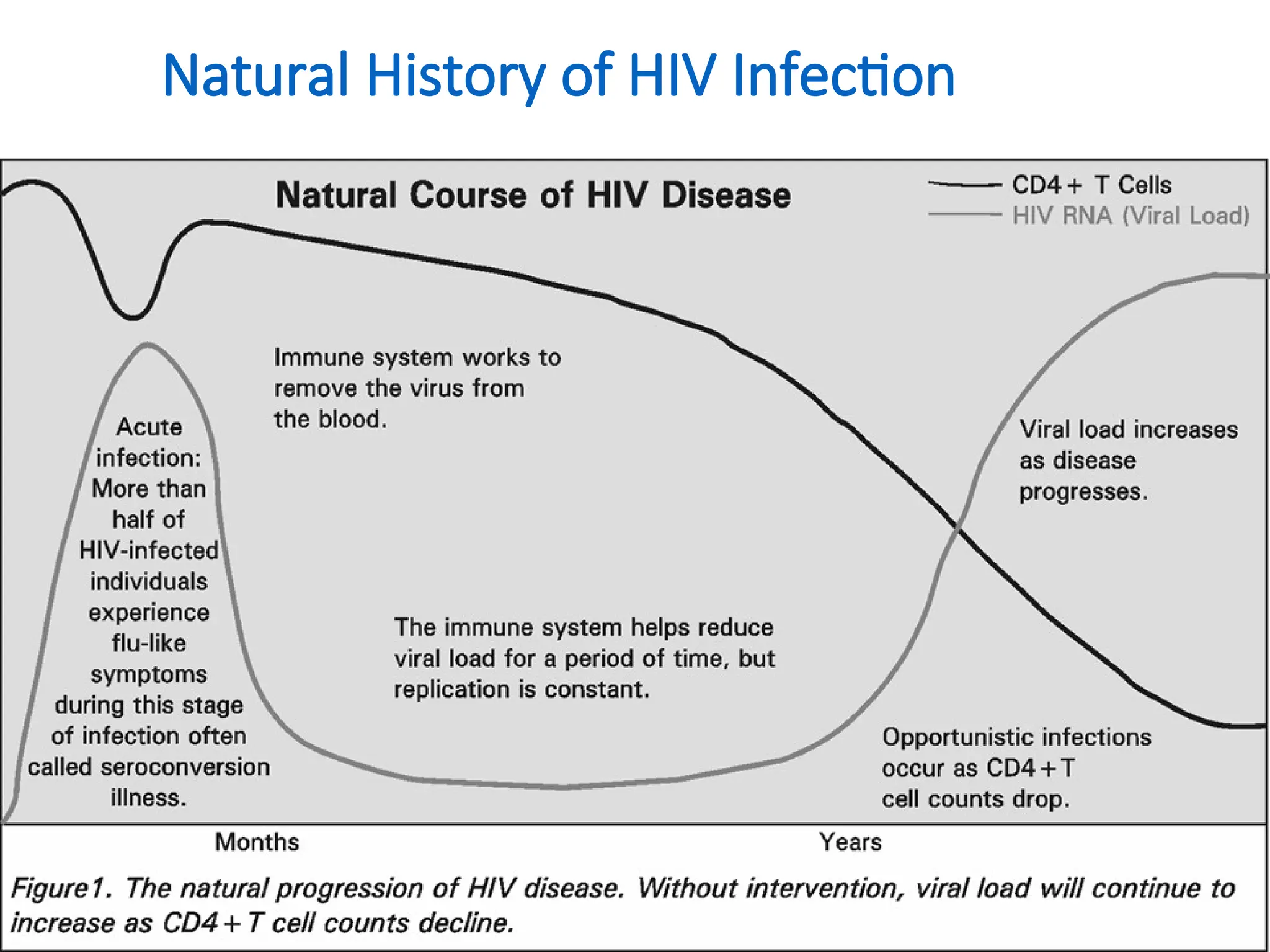 Natural History of HIV Infection
omero
 
