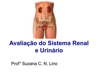 Prof° Suzana C. N. Lino
Avaliação do Sistema Renal
e Urinário
 