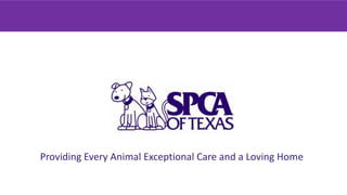 Providing Every Animal Exceptional Care and a Loving Home
 
